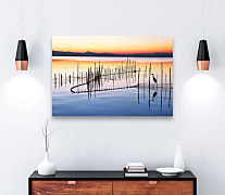 Obraz Letné ráno na jazere